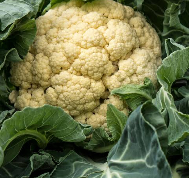 Cauliflower small