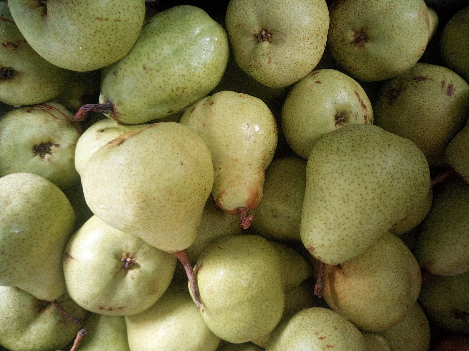 Fruit pears kg🍐