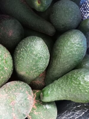 Fruit Avos 🥑