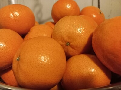 Fruit Mandarins1kg 