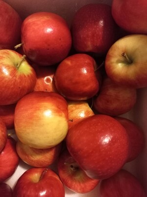 Fruit Apples red kg🍎 