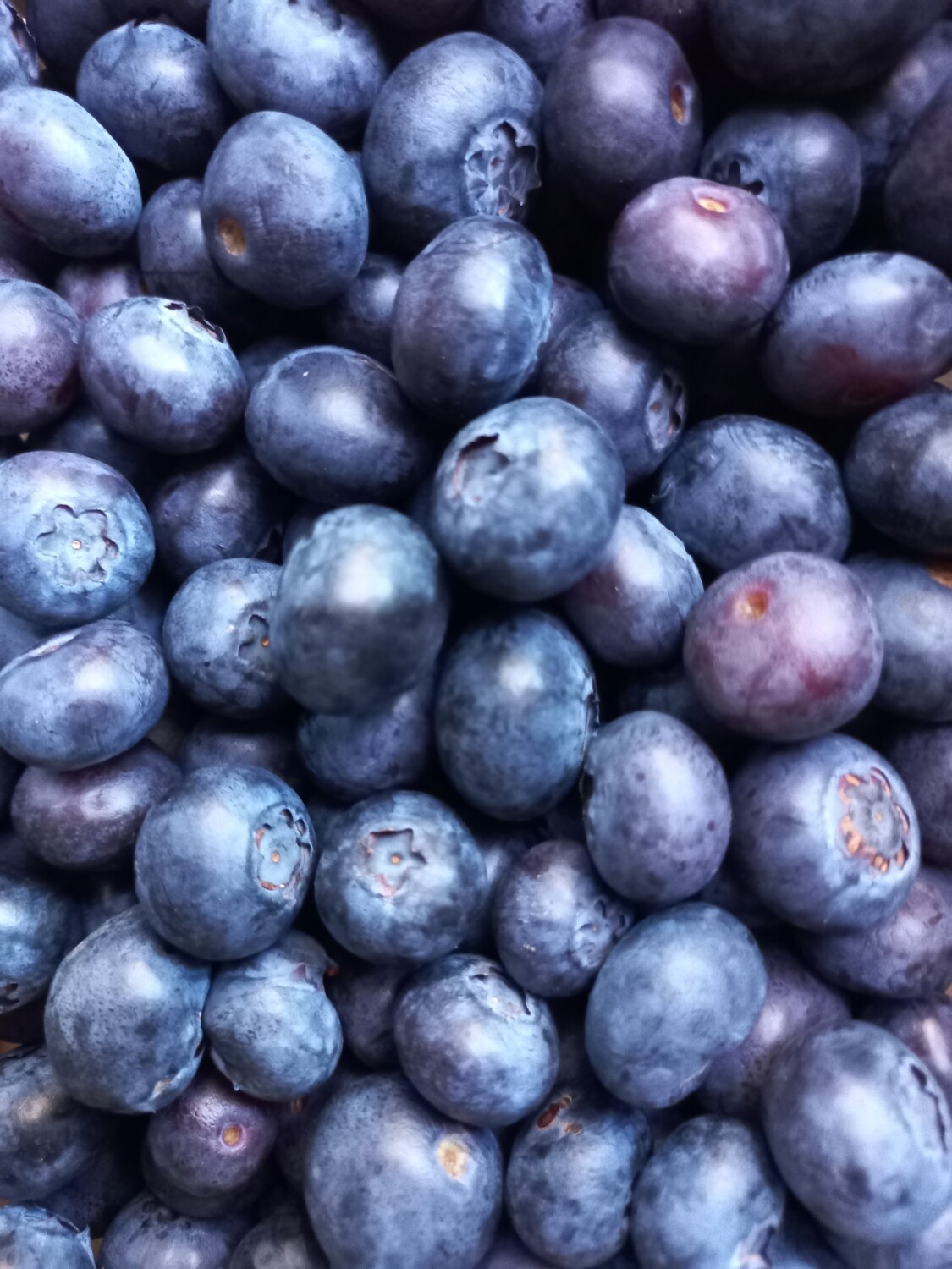Fruit Blueberries 170gm 