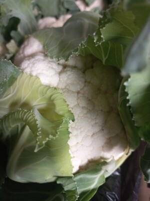 Cauliflower  half