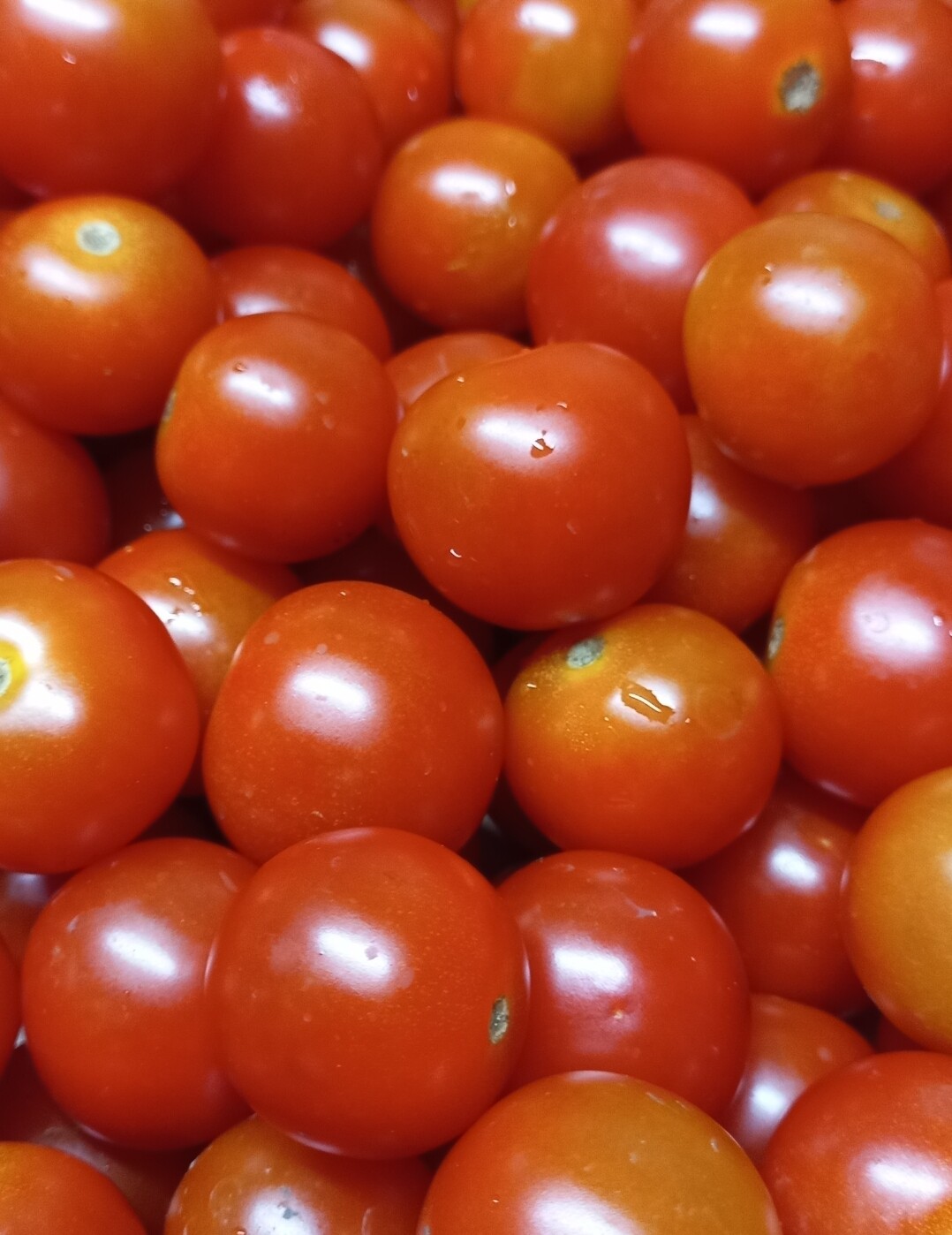 Tomatoes  cherry 250gm