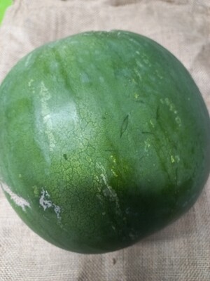 Fruit watermelon whole seedless available Thursday 