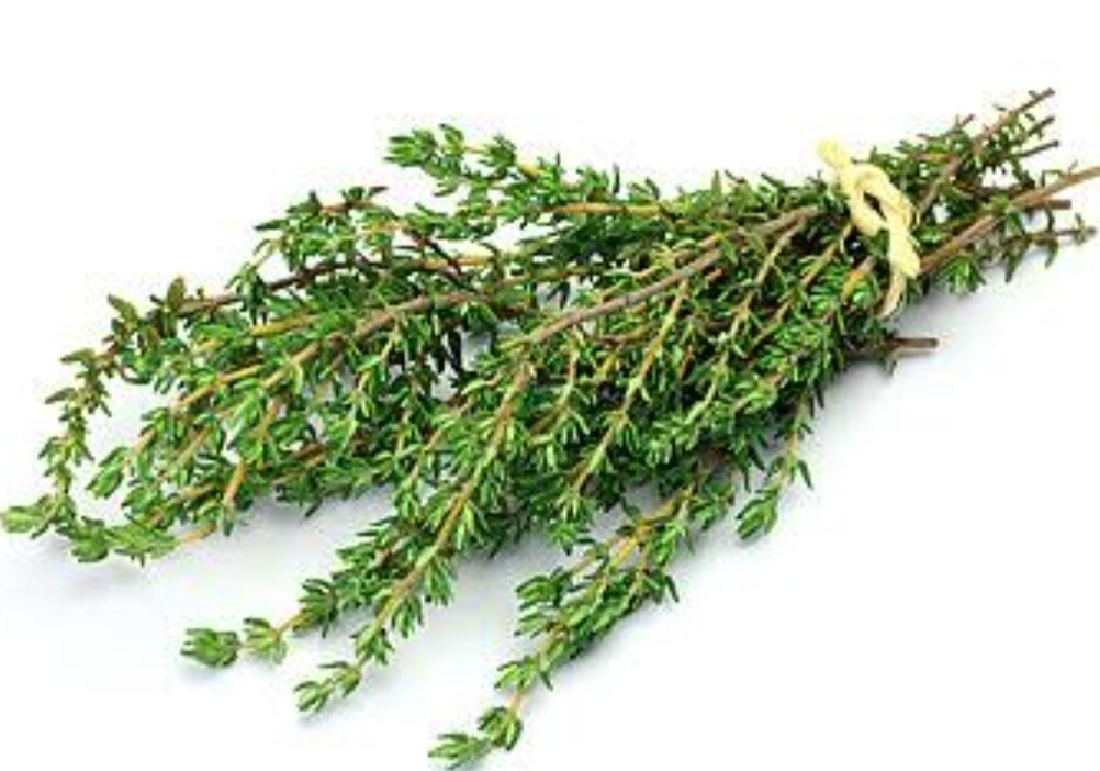 Herbs fresh thyme bunch