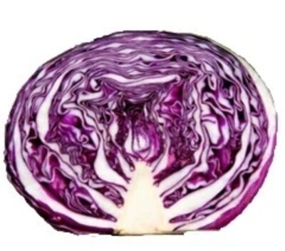 Cabbage red half