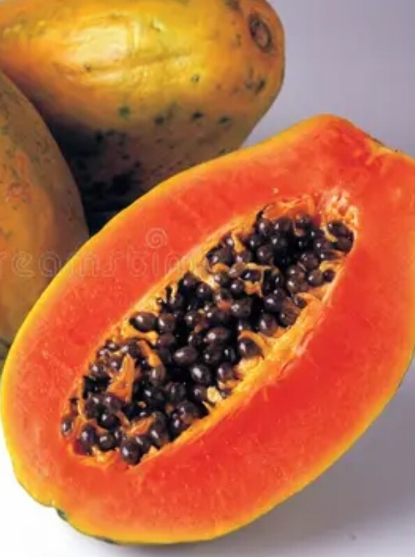 Fruit papaya 