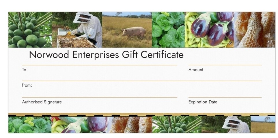 Gift certificate $100