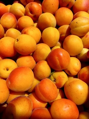 Stonefruit apricots x4