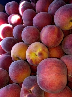 Stonefruit peach x1
