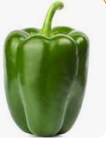 Capsicum  green