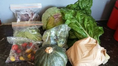 * family box  F&amp;V inc. Delivery 