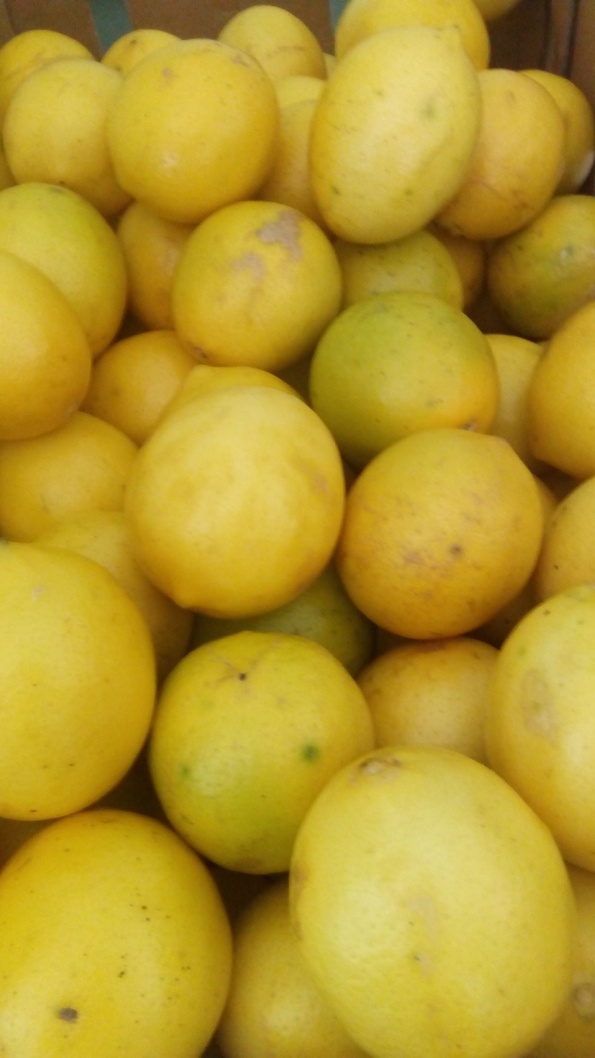 Fruit Lemons  1kg 🍋