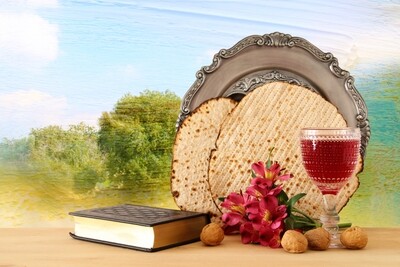 Pesach needs and Judaica