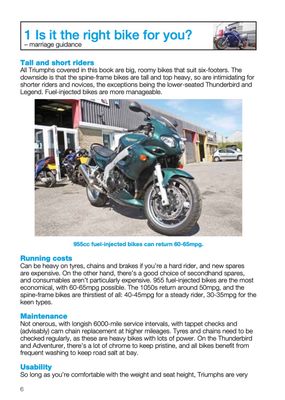 Hinckley Triumph triples &amp; fours 750, 900, 955, 1000, 1050, 1200 - 1991-2009