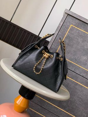 Chanel 25 Small Handbag