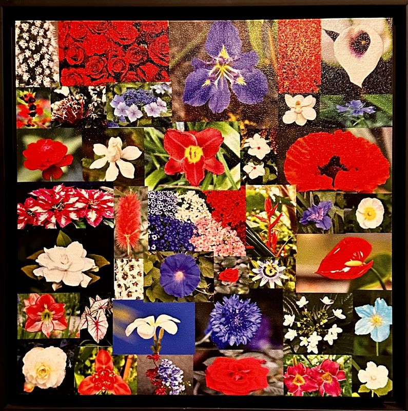 Framed Patriotic Flower Collage
