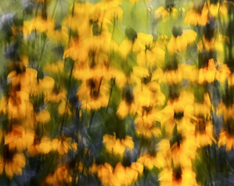 Photoimpressionism 4