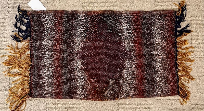 Patterned Earthtone Rug