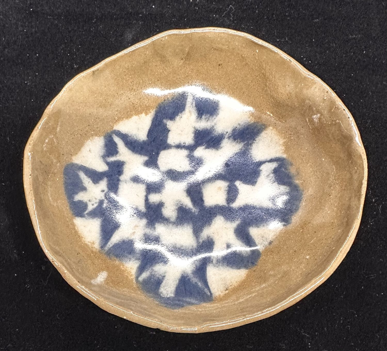 Star Dish