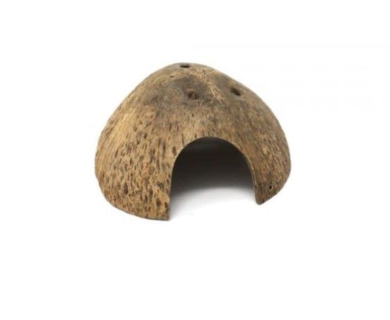 Coconut Half Shell Hide