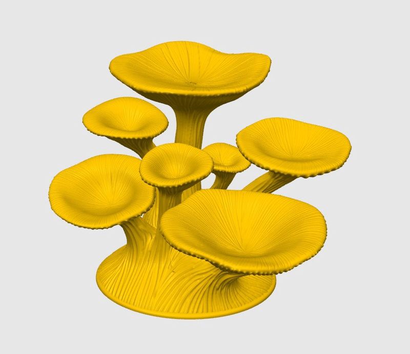 Mushroom Platform