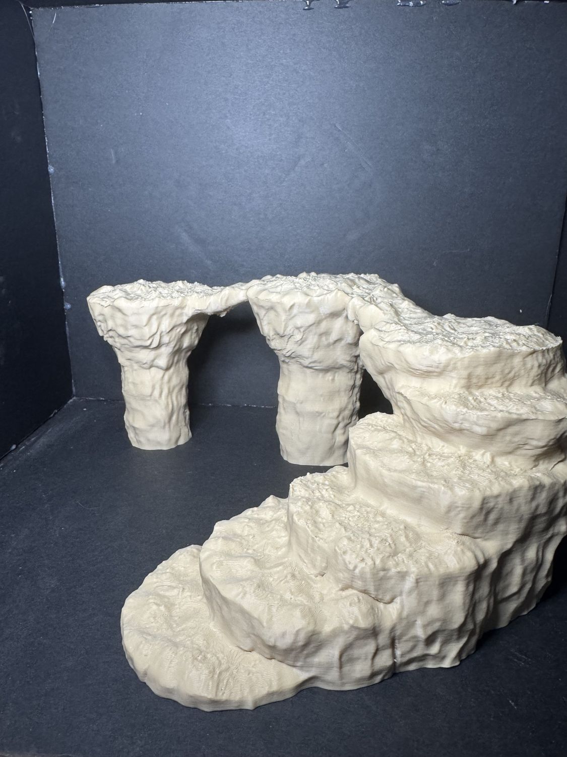 Reptile Rock steps