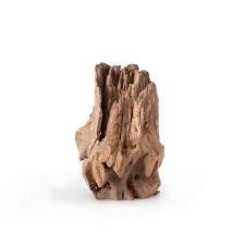 Galapagos Eucalyptus Root Hollow Log 6"-8"