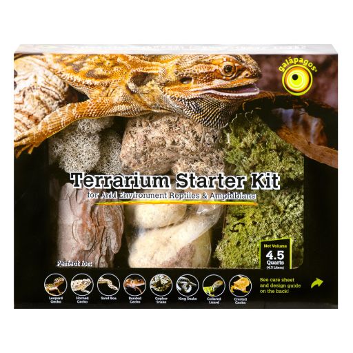Galapagos Terrarium Starter Kit  Arid Environment  4.5qt Box