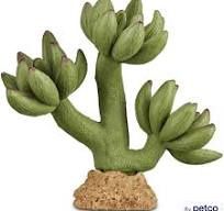 Imagitarium Pink Tipped Cactus Reptile Decor