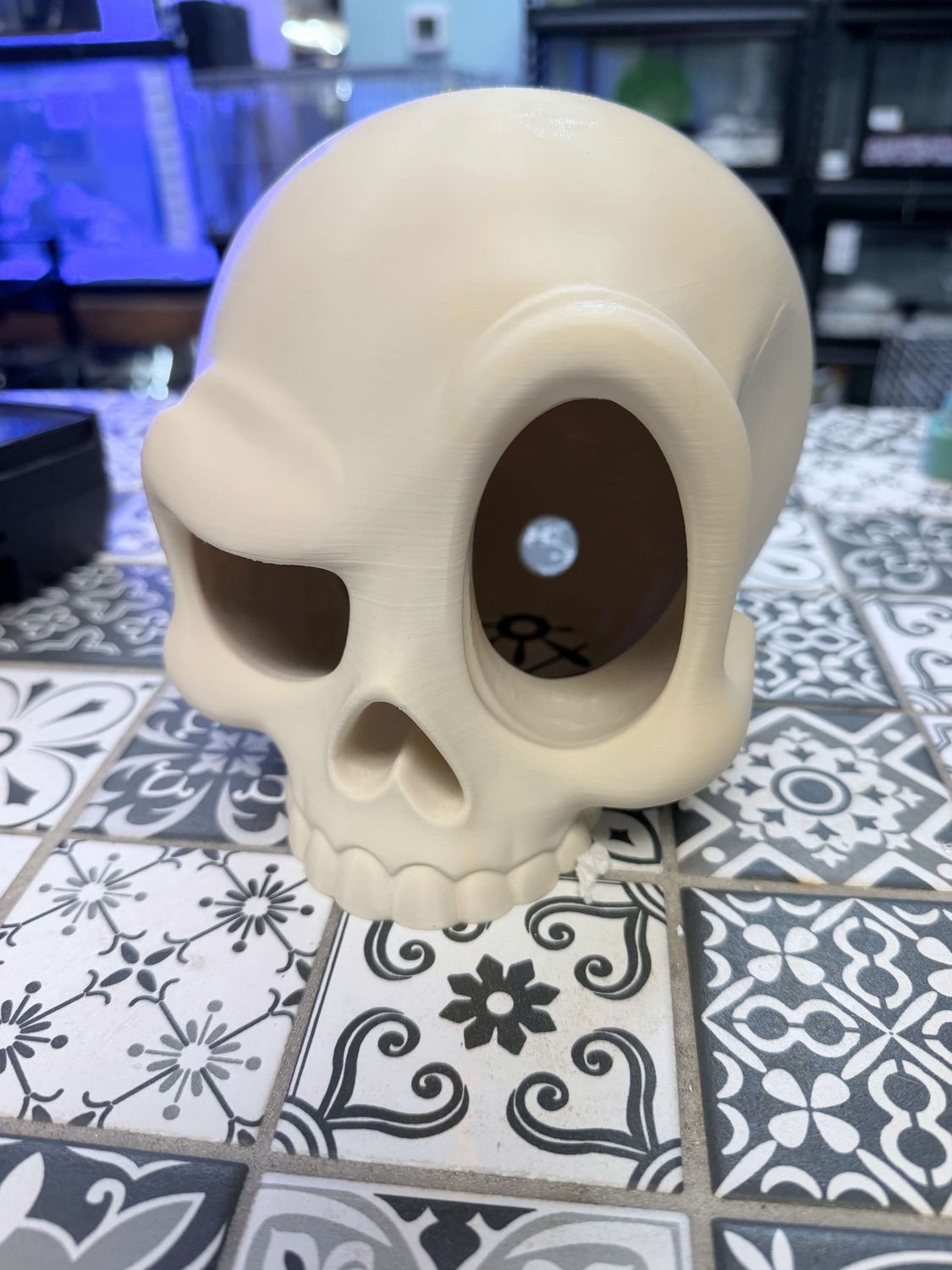 Buco Skull