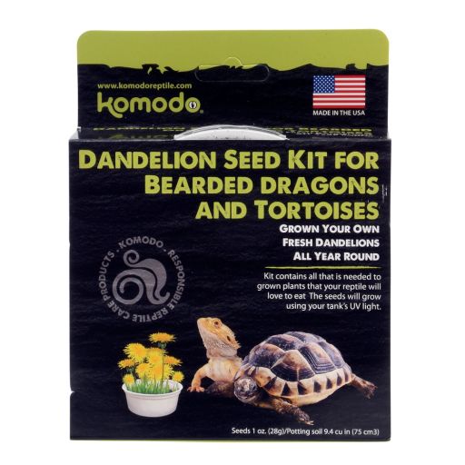 Komodo Grow Your Own Dandelion Reptile Food Kit for All Life Stages  White Cup with Brown Soil