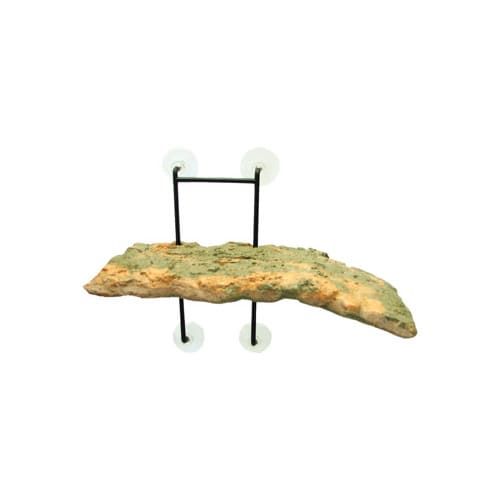 Zoo Med Laboratories Turtle Dock® Small Turtle Pond Dock® 5 X 11.25 Inch