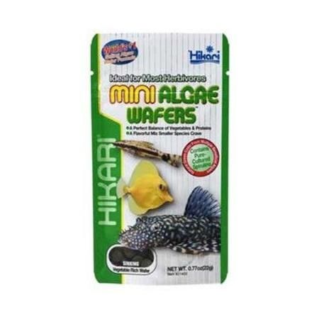 Hikari USA Algae Wafers Sinking Wafer Fish Food  0.77 oz  Mini