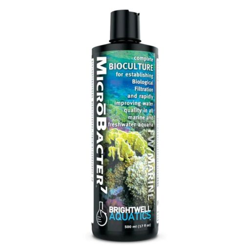 Brightwell Aquatics MicrōBacter7