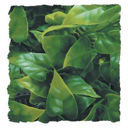 Zoo Med Naturalistic Flora Mexican Phyllo Plant for Reptiles