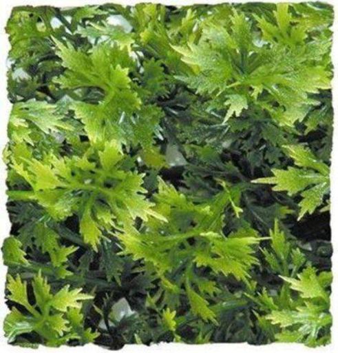 Zoo Med Australian Maple Terrarium Plant - Artificial Plant for Reptile Habitats