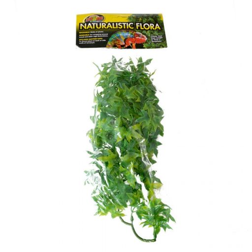 Premium Congo Ivy Terrarium Plant - Naturalistic Flora for Reptile Habitats