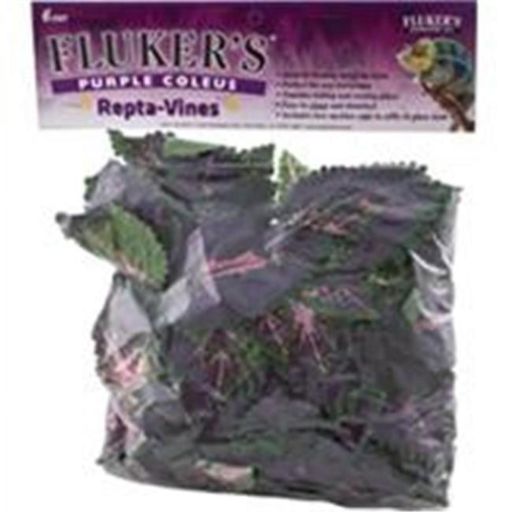 Fluker s Purple Coleus Repta-Vines  6