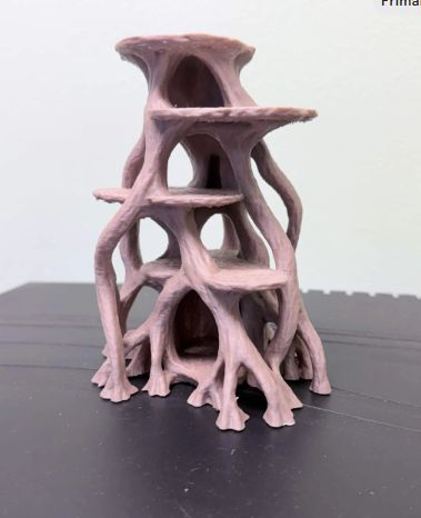 Root Tangle Platform
