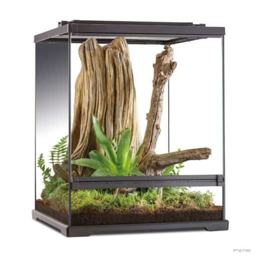 Exo Terra Tree Frog Terrarium
