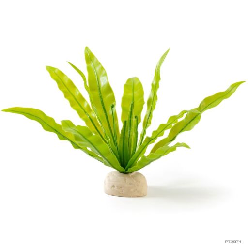 Exo Terra Bird s Nest Fern Plant - Reptile Terrarium Fake Plant