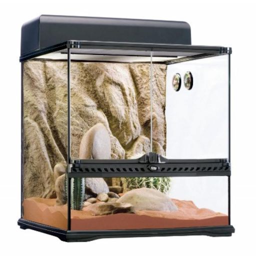 Exo Terra PT2605 Desert Habitat Kit  Medium