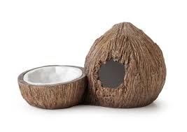 Exo Terra Reptile Coconut Hide &amp; Water Dish