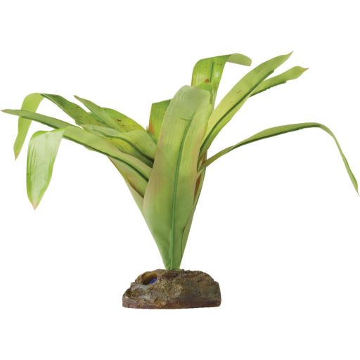 Exo Terra Dart Frog Bromelia Smart Terrarium Plant