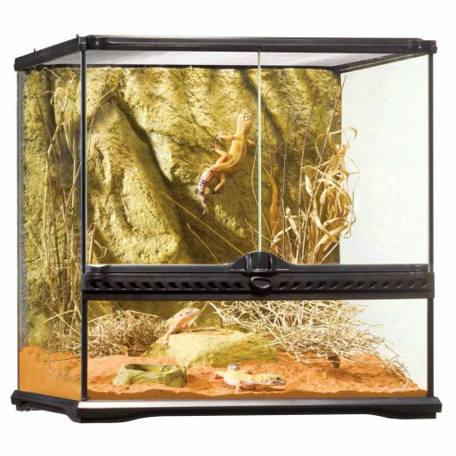Exo Terra Glass Terrarium  18 by 18 by 18-Inch