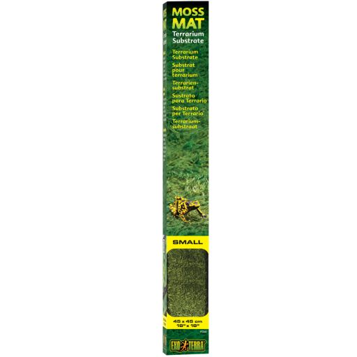 Exo Terra Moss Mat  Small 18  x 18