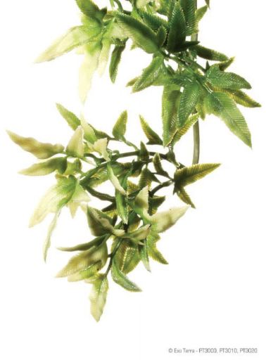 Exo Terra Plastic Terrarium Plant  Large  Croton