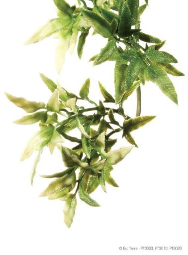 Exo Terra Plastic Terrarium Plant  Medium  Croton